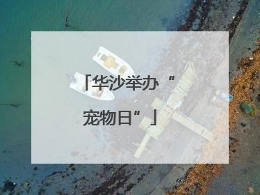华沙举办“宠物日”